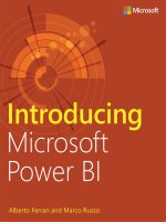 Microsoft press introducing microsoft power BI B01IPIUTTU