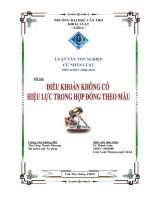 LUẬN văn LUẬT THƯƠNG mại điều KHOẢN KHÔNG có HIỆU lực TRONG hợp ĐỒNG THEO mẫu 