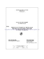 LUẬN văn LUẬT THƯƠNG mại PHÁP LUẬT về DỊCH vụ TRUNG GIAN THƯƠNG mại (đại DIỆN, môi GIỚI, ủy THÁC và đại lý) 