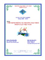 LUẬN văn LUẬT THƯƠNG mại CHẾ ĐỊNH PHÒNG vệ THƯƠNG mại THEO PHÁP LUẬT VIỆT NAM 