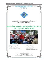 LUẬN văn LUẬT HÀNH CHÍNH BIỂU TÌNH TRONG HIẾN PHÁP VIỆT NAM lý LUẬN và KIẾN NGHỊ 