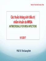 Các thuốc kháng sinh điều trị nhiễm khuẩn do MRSA