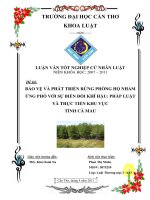 LUẬN văn LUẬT THƯƠNG mại bảo vệ và PHÁT TRIỂN RỪNG PHÒNG hộ NHẰM ỨNG PHÓ với sự BIẾN đổi KHÍ hậu   PHÁP LUẬT và THUẬT TIỄN KHU vực TỈNH cà MAU 