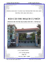 BÁO CÁO THU HOẠCH CÁ NHÂN (Dành cho sinh viên thực tập sư phạm năm thứ 4 – Hệ Đại học) TRƯỜNG TIỂU HỌC PHÚ HÒA 1