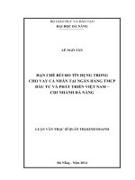 Hạn chế rủi ro tín dụng trong cho vay cá nhân tại ngân hàng TMCP đầu tư và phát triển việt nam   chi nhánh đà nẵng