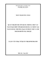 QUẢN TRỊ rủi RO tín DỤNG TRONG CHO VAY NGẮN hạn đối với KHÁCH HÀNG cá NHÂN tại NGÂN HÀNG THƯƠNG mại cổ PHẦN VIỆT á CHI NHÁNH BUÔN MA THUỘT