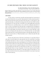 CÁC BIỆN PHÁP KHẮC PHỤC TRONG TẬP TRUNG KINH TẾ