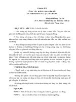 Chuyên Đề Công Tác Kiểm Tra Giám Sát Và Thi Hành Kỷ Luật Của Đảng