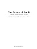 The future of audit keeping capital markets efficient 