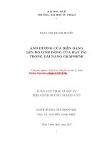 Ảnh hưởng của biến dạng lên độ linh động của hạt tải trong dải nano graphene (tt) 