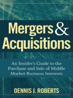 Mergers and acquisitions an insiders guide to the purchase and sale of middle market business interests 1st edition by dennis j  roberts 