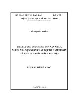 Chất lượng cuộc sống của nạn nhân, người nhà nạn nhân chất độc Dacam Dioxin và hiệu quả giải pháp can thiệp (Luận án tiến sĩ)
