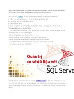 Video hướng dẫn học SQL cho người mới bắt đầu