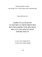 Nghiên cứu sự di truyền các đột biến gây bệnh ở bệnh nhân Beta thalassemia vùng Đồng bằng Sông Cửu Long bằng kỹ thuật sinh học phân tử (Luận án tiến sĩ)