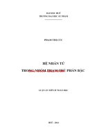 Hệ nhân tử trong nhóm phạm trù phân bậc  (tt) 