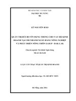 Quản trị rủi ro tín dụng trong cho vay hộ kinh doanh tại chi nhánh ngân hàng nông nghiệp và phát triển nông thôn easup  dak lak