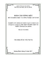 NGHIÊN cứu SINH sản NHÂN tạo cá THÁT lát (notopterus notopterus) PHÙ hợp với điều KIỆN tự NHIÊN TỈNH QUẢNG BÌNH 