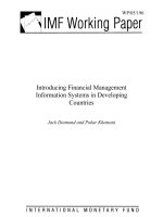 Introducing financial management information systems in developing countries by jack diamond and pokar khemani 