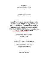 Nghiên cứu đặc điểm mô học của cơ quan sinh dục và sự sinh sản của loài thằn lằn bóng đuôi dài eutropis longicaudatus (hallowell, 1856), thằn lằn bóng hoa eutropis multifasciatus (kuhl, 1820) ở đồng nai (tt) 