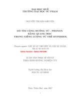 Dò tìm cộng hưởng từ   phonon bằng quang học trong giếng lượng tử thế hyperbol (tt) 