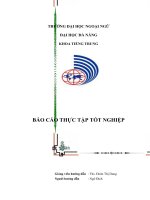 báo cáo thực tập tiếng trung mảng visa hộ chiếu Công ty TNHH Minh Hoàng Hiến Đà Nẵng