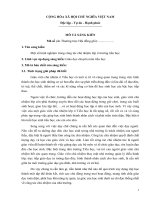 SÁNG KIẾN Một số kinh nghiệm trong công tác chủ nhiệm lớp ở trường tiểu học.