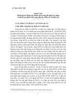 Báo Cáo Đánh Giá Tác Động Của Chính Sách Trong Đề Nghị Xây Dựng Luật Hỗ Trợ Phát Triển Vùng Dân Tộc Thiểu Số Và Miền Núi