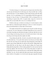 Nghiên cứu bất thường nhiễm sắc thể và phát hiện mất đoạn AZFabcd ở những nam giới vô tinh và thiểu năng tinh nặng (Luận án tiến sĩ)