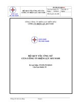 Bộ Quy Tắc Ứng Xử Của Công Ty Điện Lực Hà Nam