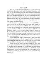 Hiệu quả chế độ dinh dưỡng giàu lipid trong điều trị bệnh nhân đợt cấp bệnh phổi tắc nghẽn mạn tính thở máy (Luận án tiến sĩ)