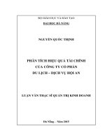 Phân tích hiệu quả tài chính của công ty cổ phần du lịch –dịch vụ hội an