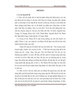 Thế giới hình tượng trong thơ Phạm Hổ viết cho thiếu nhi