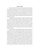 Nghiên cứu đặc điểm lâm sàng, X quang và đánh giá kết quả điều trị lệch lạc khớp cắn loại III Angle bằng hệ thống mắc cài MBT (Luận án tiến sĩ)