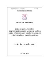 Hiệu quả của mô hình truyền thông giáo dục dinh dưỡng nhằm cải thiện một số yếu tố nguy cơ tăng huyết áp ở cộng đồng (Luận án tiến sĩ)