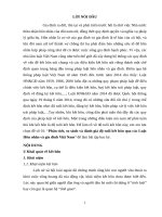 Phân tích, so sánh và đánh giá độ tuổi kết hôn qua các Luật Hôn nhân và gia đình Việt Nam (8,5đ)