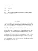 Tiểu luận môn ngân hàng thương mại thực trạng và giải pháp của việc thu hút vốn đầu tư nước ngoài ở việt nam 