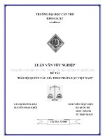 LUẬN văn LUẬT tư PHÁP bảo hộ QUYỀN tác GIẢ THEO PHÁP LUẬT VIỆT NAM 
