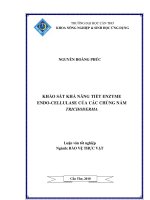 KHẢO sát KHẢ NĂNG TIẾT ENZYME ENDO CELLULASE của các CHỦNG nấm TRICHODERMA 