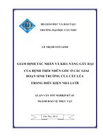 GIÁM ĐỊNH tác NHÂN và KHẢ NĂNG gây hại của BỆNH THỐI NHŨN gốc ở các GIAI đoạn SINH TRƯỞNG của cây lúa TRONG điều KIỆN NHÀ lưới 