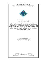ĐÁNH GIÁ HIỆU QUẢ PHÒNG TRỊ BỆNH đốm lá CHẢY NHỰA THÂN (didymella bryoniae)TRÊN dưa hấu BẰNG VI KHUẨN VÙNG rễ TRONG điều KIỆN NGOÀI ĐỒNG ở QUẬN ô môn THÀNH PHỐ cần THƠ vụ ĐÔNG XUÂN 