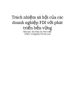 Trách nhiệm xã hội của các doanh nghiệp FDI với phát triển bền vững 