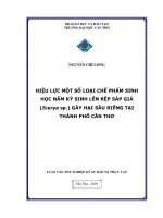 HIỆU lực một số LOẠI CHẾ PHẨM SINH học nấm ký SINH lên rệp sáp GIẢ gây hại sầu RIÊNG tại THÀNH PHỐ cần THƠ 