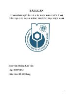 Tiểu luận môn ngân hàng thương mại tình hình nợ xấu và các biện pháp xử lý nợ xấu tại các ngân hàng thương mại 