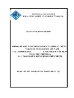 KHẢO sát KHẢ NĂNG đối KHÁNG của một số CHỦNG VI KHUẨN VÙNG rễ đối với nấm COLLETOTRICHUM LAGENARIUM gây BỆNH THÁN THƯ TRÊN dưa hấu TRONG điều KIỆN PHÒNG THÍ NGHIỆM 