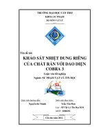 LUẬN văn sư PHẠM vật lý KHẢO sát NHIỆT DUNG RIÊNG của CHẤT rắn với DAO DIỆN COBRA 3 