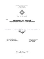 LUẬN văn LUẬT tư PHÁP bảo hộ NHÃN HIỆU HÀNG HOÁ THEO QUI ĐỊNH của PHÁP LUẬT HIỆN HÀNH 