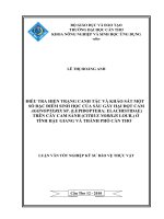 ĐIỀU TRA HIỆN TRẠNG CANH tác và KHẢO sát một số đặc điểm SINH học của sâu gây hại đọt CAM AGONOPTERIX SP  TRÊN cây CAM SÀNH ở TỈNH hậu GIANG và THÀNH PHỐ cần THƠ 