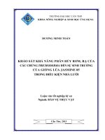 KHẢO sát KHẢ NĂNG PHÂN hủy rơm, rạ của các CHỦNG TRICHODERMA đến sự SINH TRƯỞNG của GIỐNG lúa JASMINE 85 TRONG điều KIỆN NHÀ lưới 