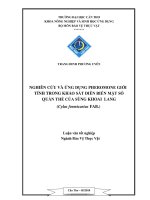 NGHIÊN cứu và ỨNG DỤNG PHEROMONE GIỚI TÍNH TRONG KHẢO sát DIỄN BIẾN mật số QUẦN THỂ của SÙNG KHOAI LANG 