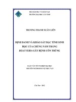 ĐỊNH DANH và KHẢO sát đặc TÍNH SINH học của CHỦNG nấm TRẮNG BEAUVERIA gây BỆNH côn TRÙNG 